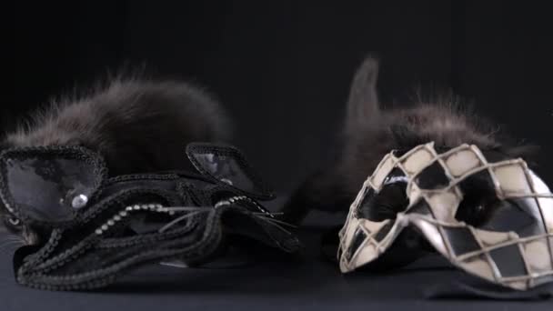 Symbolen För Den Venetianska Karnevalen Rutig Mask Som Harlekin Maskerad — Stockvideo