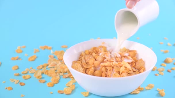 Corn Flakes Milk Sweet Dry Breakfast Bright Background Baby Food — Stock videók