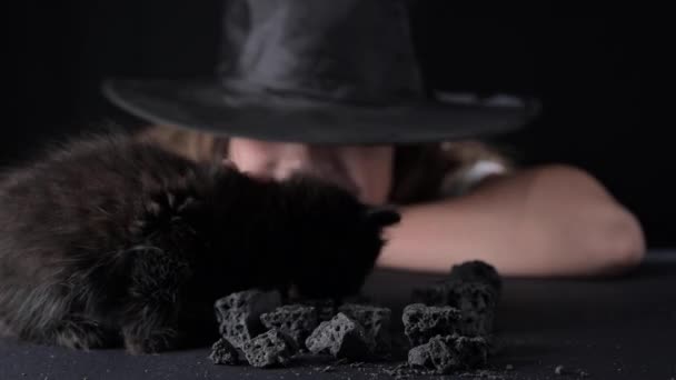 Little Girl Witchs Hat Bifanya Black Kittens Black Cat Coal — Stock videók