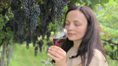 Beautiful woman dreaming tasting red wine enjoying summer stay in vineyards on lovely sunny day. woman drinking red wine at vineyard. harvest season. High quality photo