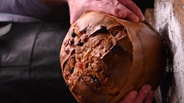Milan 'ın Panettone' u. Şeker serpiştirilmiş tatlı şenlikli ekmek. Noel için geleneksel İtalyan hamur işleri. Kurutulmuş meyve ve bademlerle.. 