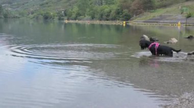 Lake in Trento. Beautiful panorama and calm tourism atmosphere. High quality FullHD footage
