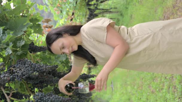 Krásná Žena Snění Ochutnávka Červeného Vína Těší Letní Pobyt Vinicích — Stock video