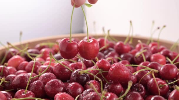 Vibráló Közelkép Juicy Cherry Ről Tökéletes Ételekhez Nyári Témájú Hirdetésekhez — Stock videók
