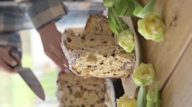 Panettone. Geleneksel İtalyan Paskalya ekmeği, kurutulmuş böğürtlen ve çikolatalı. Paskalya sepeti rahat bir evdeki bir kadının elinde. İtalya 'da Lombardiya bölgesinde. Noel 'in sembolü. 4k görüntü