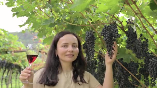 Beautiful Woman Dreaming Tasting Red Wine Enjoying Summer Stay Vineyards — Stock videók