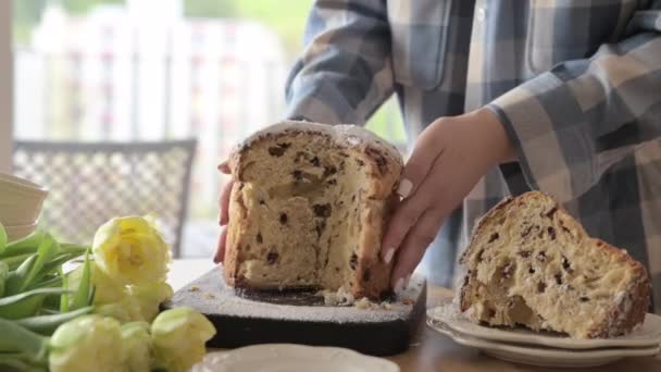 Panettone Geleneksel Talyan Paskalya Ekmeği Kurutulmuş Böğürtlen Çikolatalı Paskalya Sepeti — Stok video