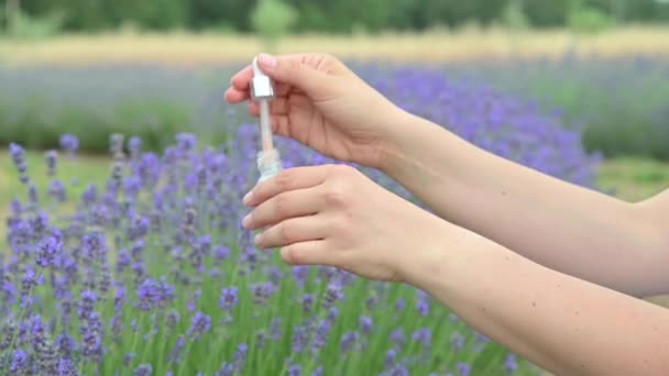 薰衣草地的美丽和薰衣草油的精华 在这个视频中美丽地捕捉 薰衣草开花和方便的薰衣草油在一个小管子 高质量的4K镜头 — 图库视频影像