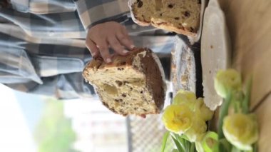 Panettone. Geleneksel İtalyan Paskalya ekmeği, kurutulmuş böğürtlen ve çikolatalı. Paskalya sepeti rahat bir evdeki bir kadının elinde. İtalya 'da Lombardiya bölgesinde. Noel 'in sembolü. 4k görüntü