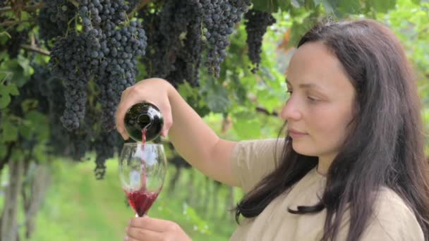 Красивая Женщина Мечтает Попробовать Красное Вино Наслаждаясь Летним Пребыванием Виноградниках — стоковое видео