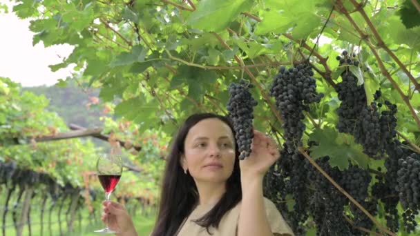 Mulher Bonita Sonhando Degustação Vinho Tinto Desfrutando Estadia Verão Vinhedos — Vídeo de Stock
