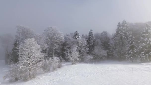 Ervaar Adembenemende Zwitserse Alpen Winter Van Bovenaf Luchtfoto Quadcopter Beelden — Stockvideo