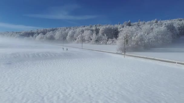 Upplev Hisnande Schweiziska Alperna Vintern Ovanifrån Aerial Quadcopter Film Fångar — Stockvideo