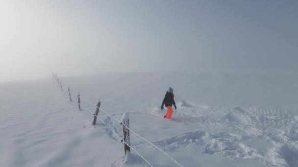 Дорога Находится Тумане Девушка Играет Снегу Сверху Снятая Квадрокоптер Опыт — стоковое видео