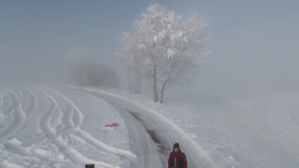 道路は霧の中にあり 上から 男と犬が雪の中で遊んでいて 彼らはクワッドコプターで撮影されました クワッドコプター4Kから撮った上記のビューから — ストック動画