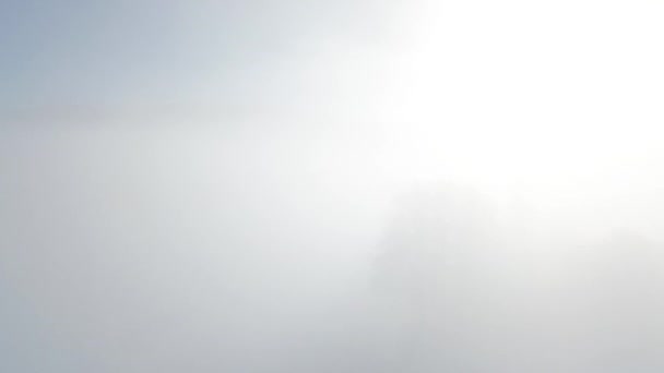 Eine Winterlandschaft Nebel Von Oben Aufgenommen Mit Einem Quadrocopter Erleben — Stockvideo