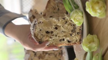 Panettone. Geleneksel İtalyan Paskalya ekmeği, kurutulmuş böğürtlen ve çikolatalı. Paskalya sepeti rahat bir evdeki bir kadının elinde. İtalya 'da Lombardiya bölgesinde. Noel 'in sembolü. 4k görüntü