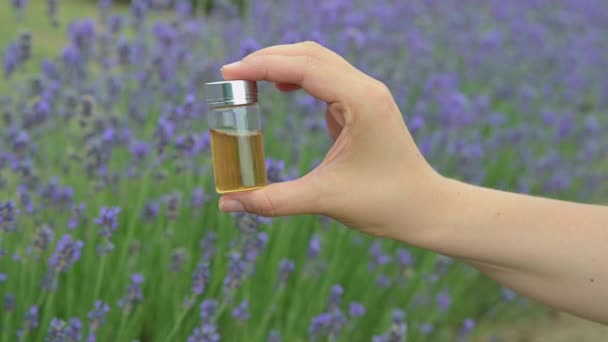 Schoonheid Van Lavendelvelden Essentie Van Lavendelolie Prachtig Vastgelegd Deze Video — Stockvideo