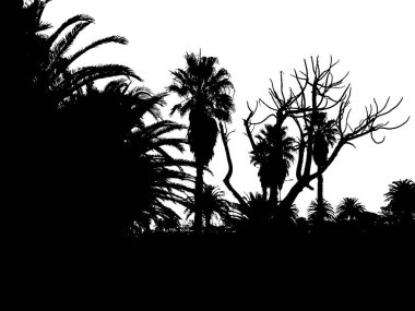 Group of trees isolated silhouette graphic