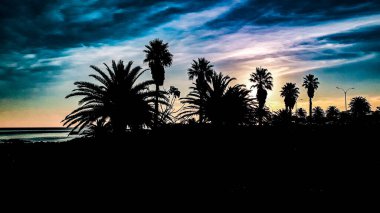 High constrast silhouette sunset coastal scene, punta carretas neighborhood, montevideo uruguay