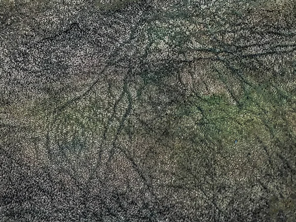 Esneme Izleri Soyut Koyu Yeşil Renkler Doku Arkaplanı — Stok fotoğraf