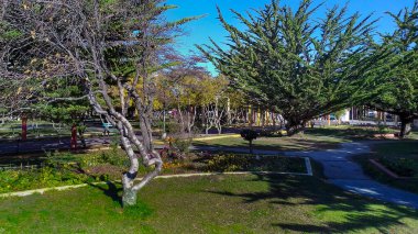 Almirante kahverengi meydan, Rio grande, tierra del fuego, Arjantin