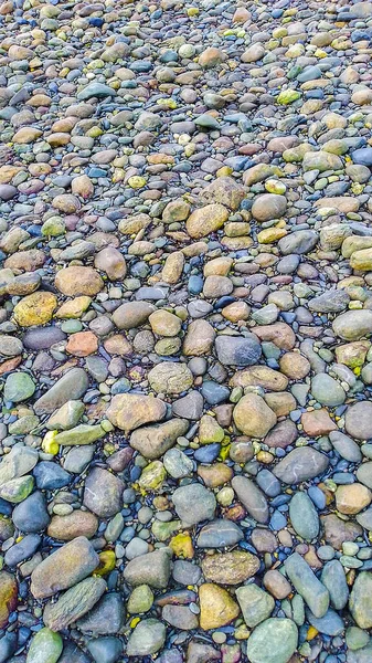 火地岛 Argentina海底圆形岩石模式 — 图库照片