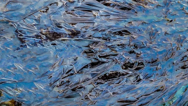 干潮時の海の底のトップビュー藻 ティエラ フエゴ Argentina — ストック写真