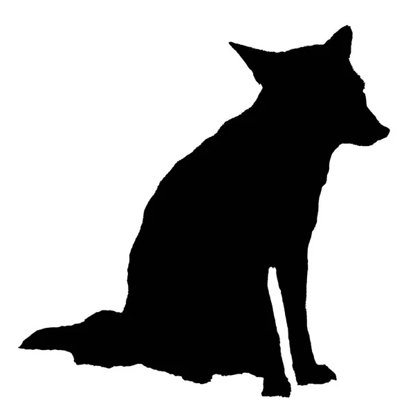 Fox Sitting Black White Graphic Isolated Illustration — Stock Photo, Image
