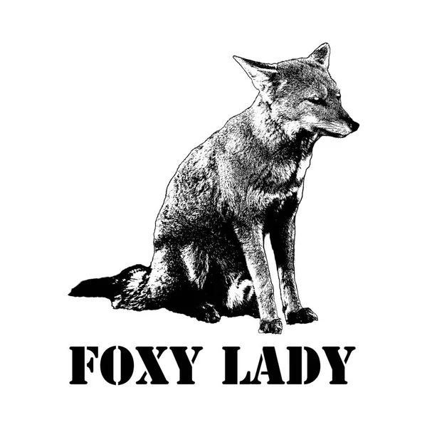 Fox Κάθεται Στο Έδαφος Foxy Κείμενο Κυρία Στο Κάτω Μέρος — Φωτογραφία Αρχείου