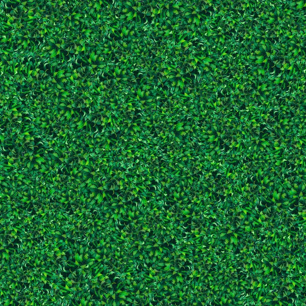 Komplizierte Blätter Zufälliges Muster Lebendigen Grünen Gemischten Farben — Stockfoto
