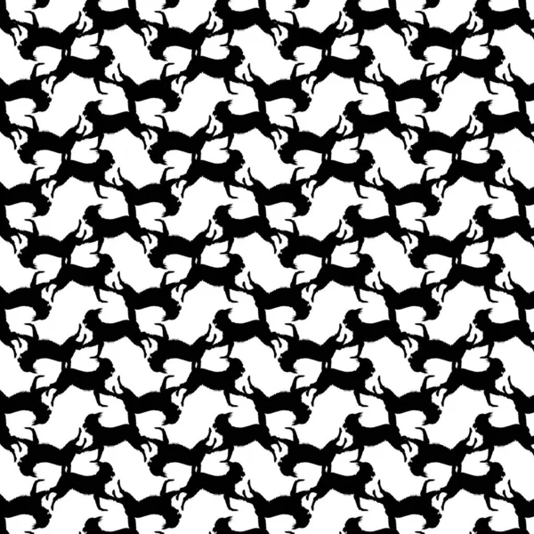 Собака Работает Изолированный Графический Случайный Мотив Черно Белый Узор — стоковое фото