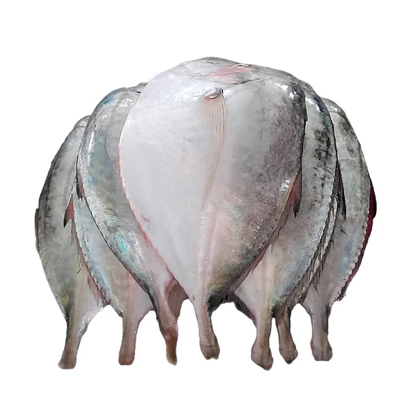 白を背景に孤立した市場での銀魚の山写真 — ストック写真