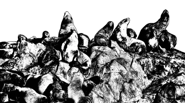黒と白のステンシルスタイルのグラフィックを隔離された岩の島で休むアシカ — ストック写真