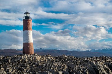 Ünlü les eclaireurs deniz feneri, ushuaia, Arjantin tierra del fuego, Arjantin 'deki kral karabatak kolonisi.