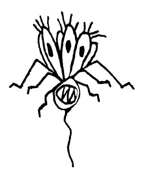 Alien Seltsame Insekt Frontansicht Ganzkörperporträt Isoliert Schwarz Weiß Zeichnung — Stockfoto