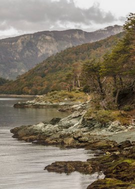 Bush Kayalık Kıyı, Zarategui Koyu, Uhuaia, Tierra del Fuego, Arjantin