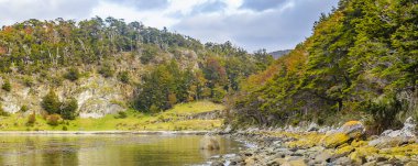 Bush Kayalık Kıyı, Zarategui Koyu, Uhuaia, Tierra del Fuego, Arjantin