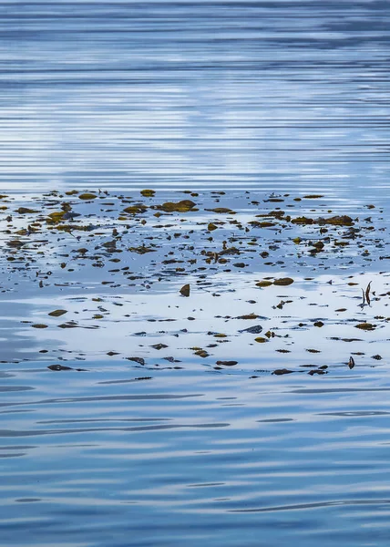 Long Distant Close Detail Shot Beagle Channel Ushuaia Argentina — Stock Photo, Image