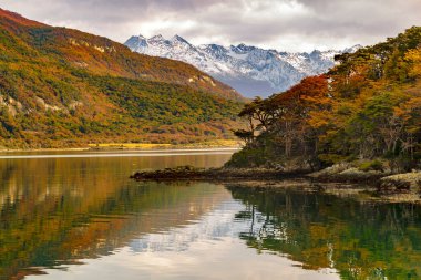 Zarategui Koyu 'ndan manzara, Tierra del Fuego, ushuaia, Arjantin
