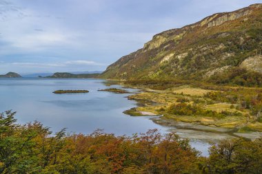 Lapataia Nehri, Tierra del Fuego, Arjantin 'de sonbahar manzarası