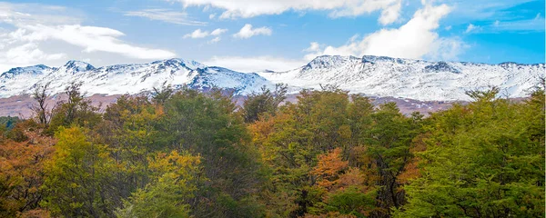 ブッシュの森林と範囲雪の山の風景 アルゼンチン アルゼンチン — ストック写真
