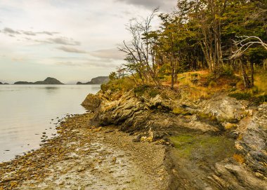 Lapataia Nehri kıyısı Attierra del Fuego Ulusal Parkı, Arjantin