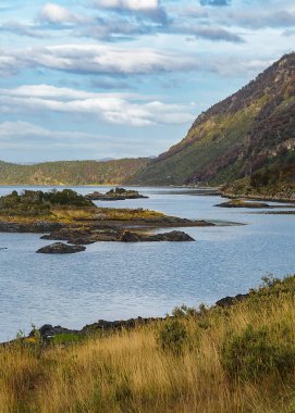 Tierra del Fuego Ulusal Parkı 'ndaki Lapataia nehir kıyısı manzarası, Arjantin