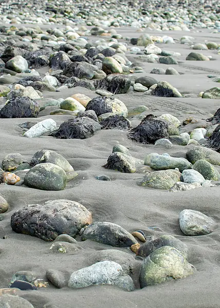 Plaża Przypływowa Rocky Cabo San Pablo Prowincja Tierra Del Fuego — Zdjęcie stockowe