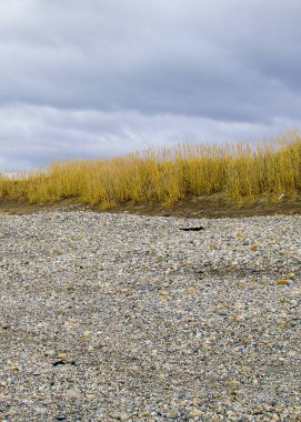 Bomboş sahilde kayalık zemin, Cabo San Pablo, Tierra del Fuego bölgesi, Arjantin