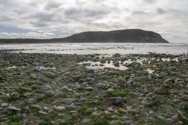 Rocky gelgit kumsalı, Cabo San Pablo plajı, Tierra del Fuego bölgesi, Arjantin