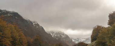 Arabanın içi puslu peyzaj Patagonya Ormanı, Tierra del Fuego Eyaleti, Arjantin