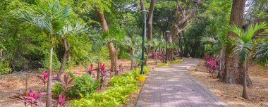 Boş Kentsel Keneddy Linear Park 'ta güneşli bir gün, guayaquil, Ekvador