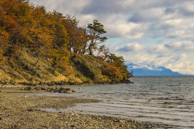 Torito Körfezi, Tierra del Fuego Eyaleti, Arjantin 'deki boş, sessiz, vahşi kıyı manzarası.